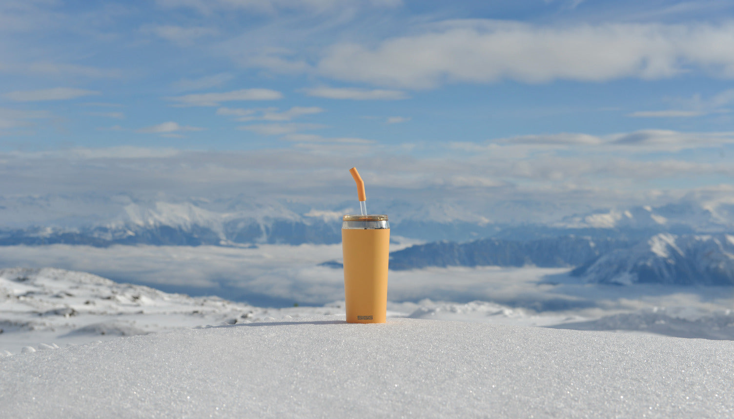 #farbe_muted peach#größe_0.6 l