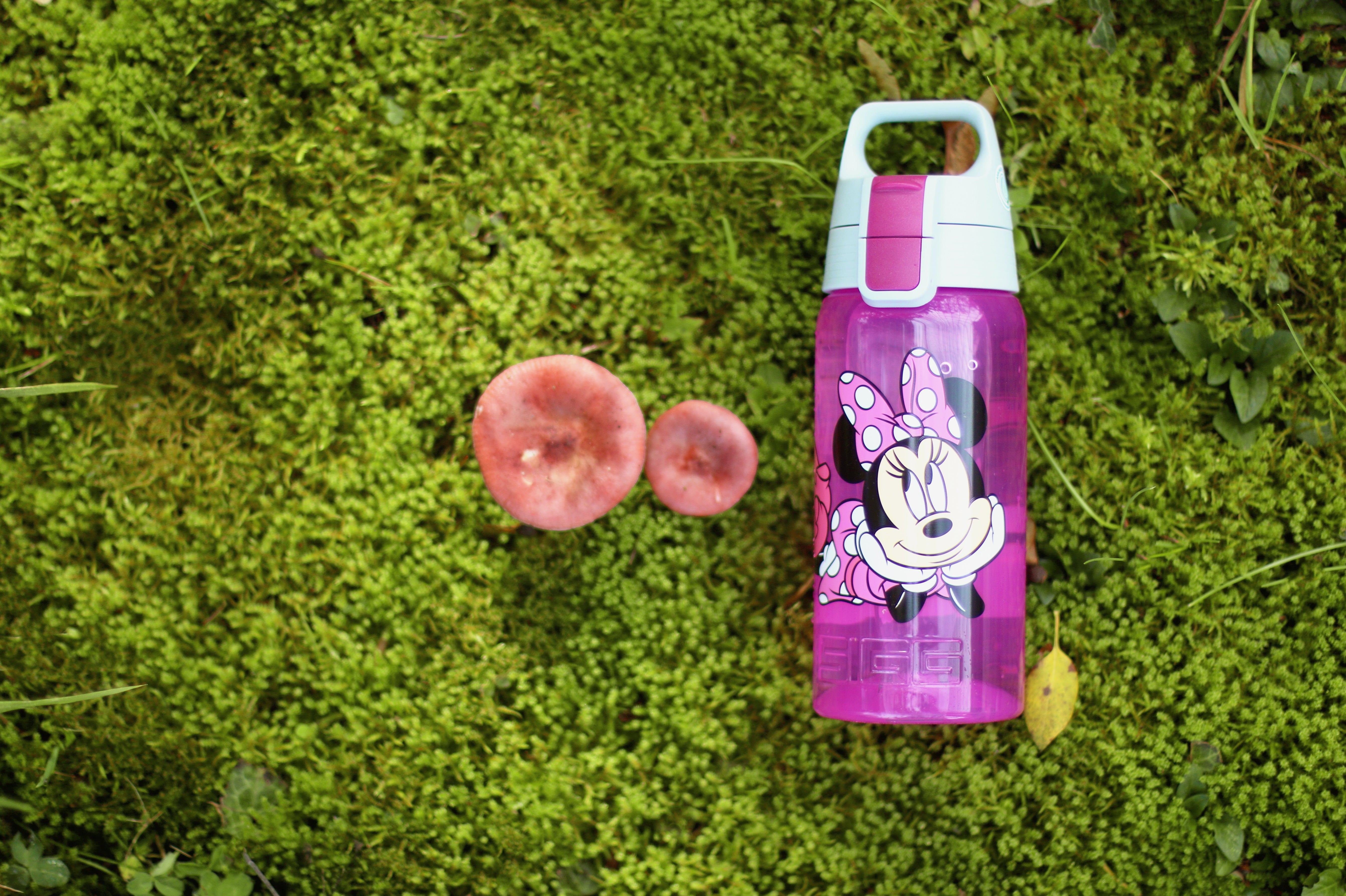 #farbe_junior minnie#größe_0.5 l