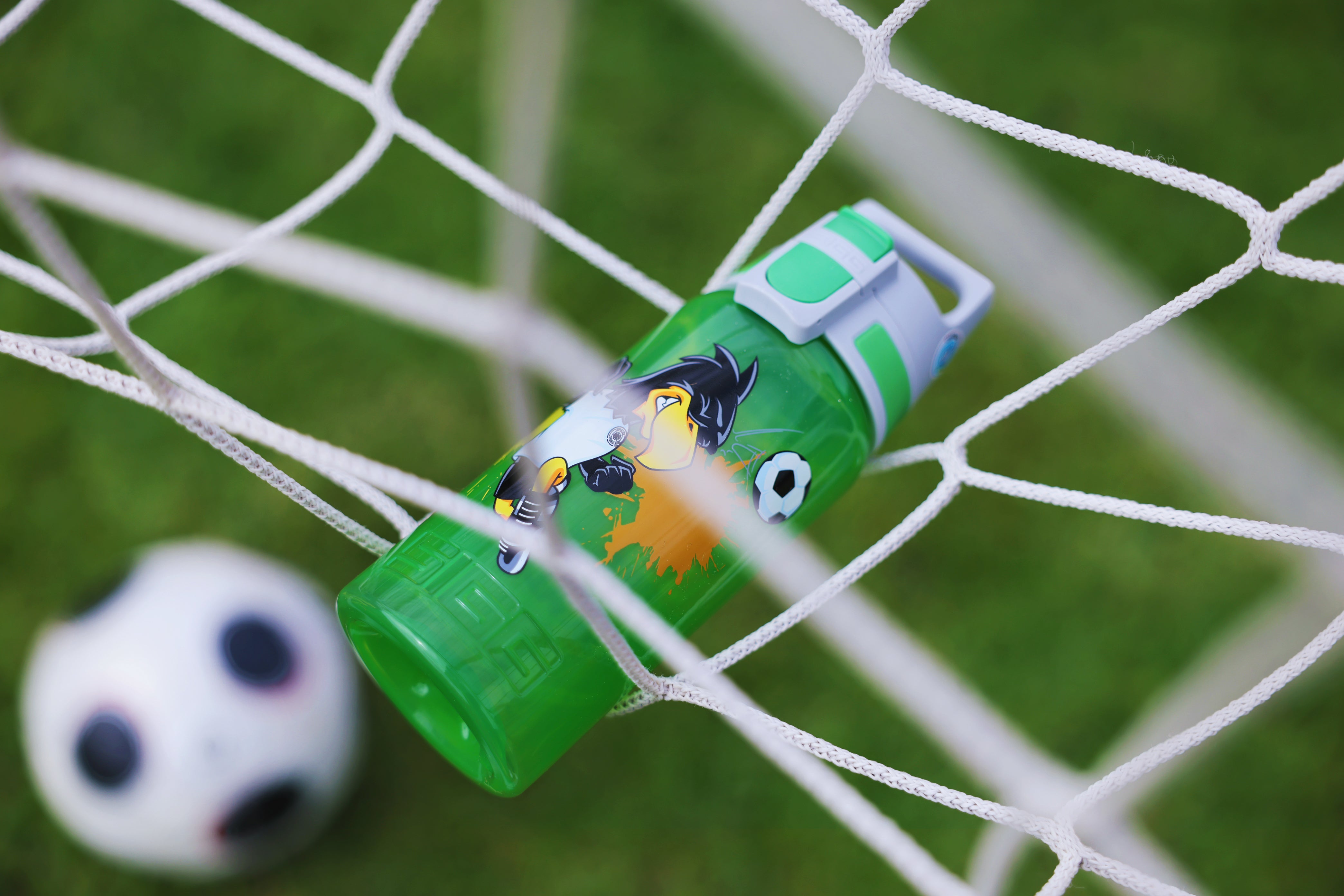 #farbe_dfb paule#größe_0.5 l