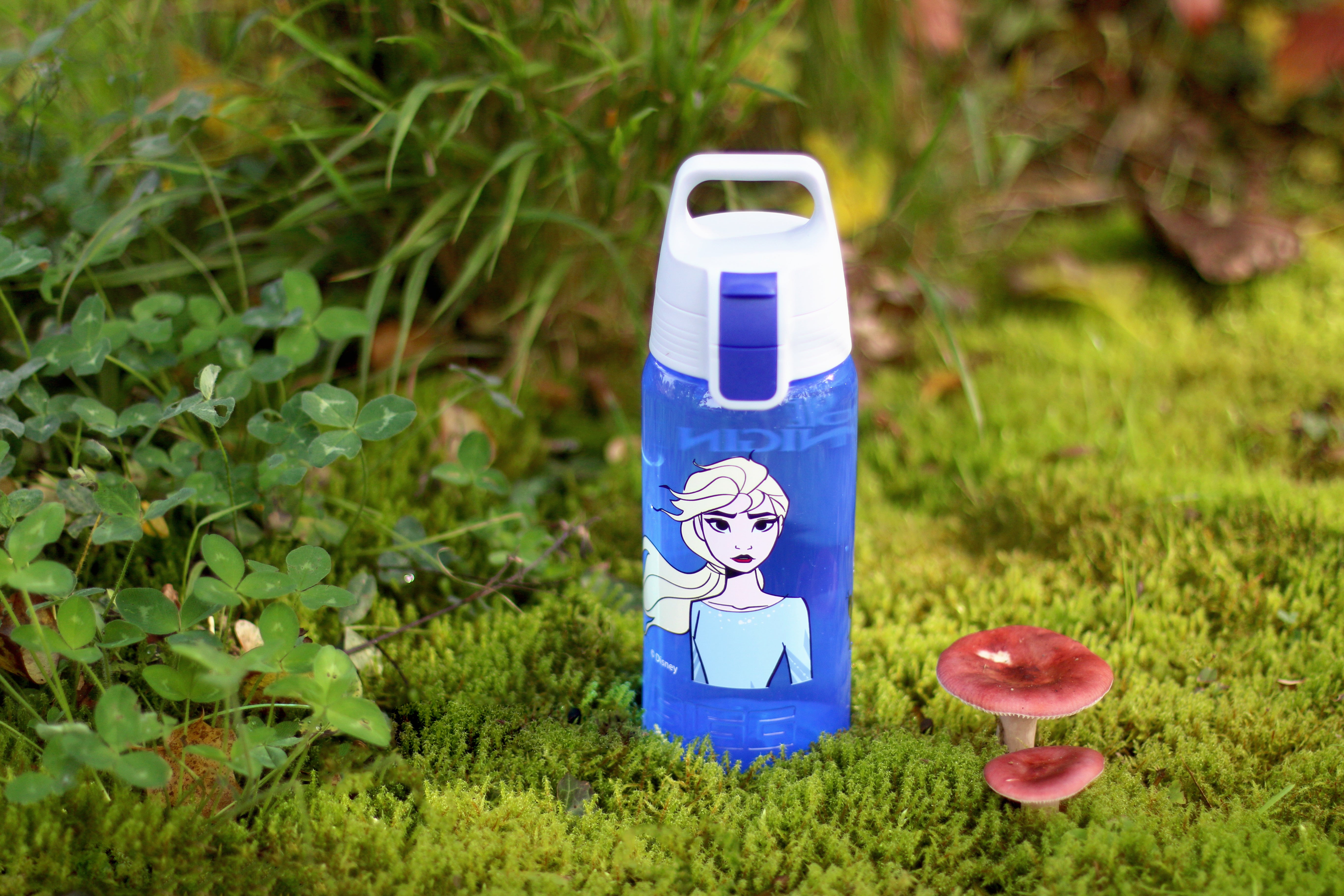 #farbe_elsa#größe_0.5 l